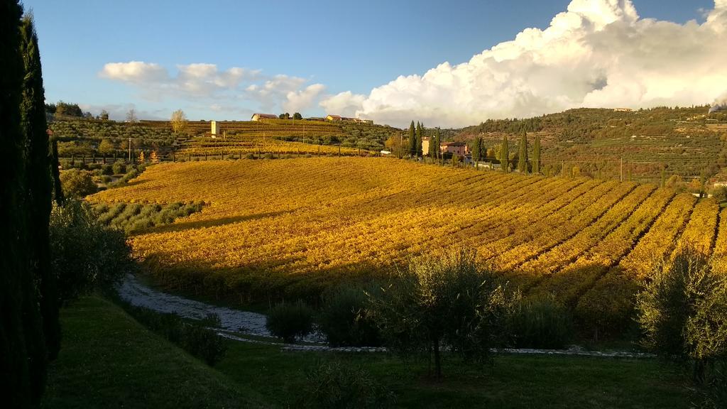 B&B Villa Roncatti Parona di Valpolicella Exterior foto