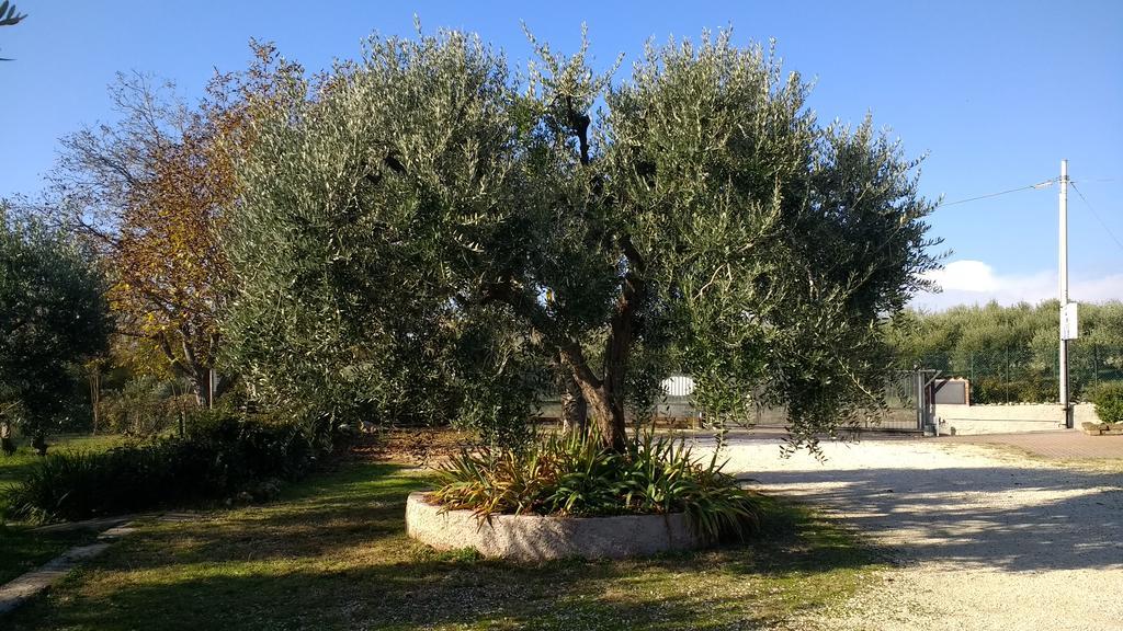 B&B Villa Roncatti Parona di Valpolicella Exterior foto